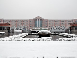 校园雪景之一