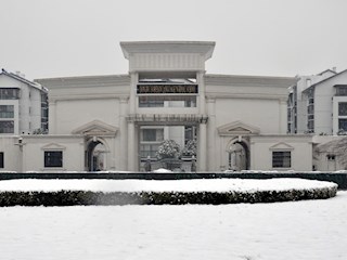 校园雪景之四