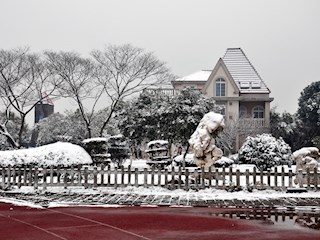 校园雪景之七