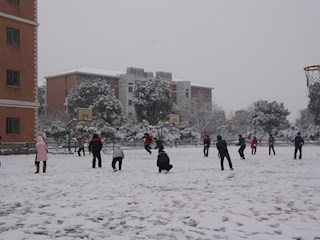 校园雪景之八