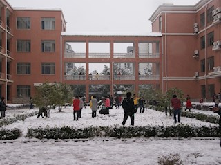 校园雪景之九