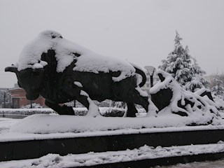 校园雪景之十