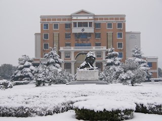 校园雪景之十一