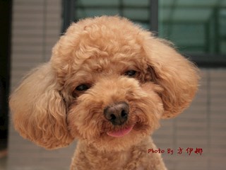 （方伊娜）温暖你的微笑